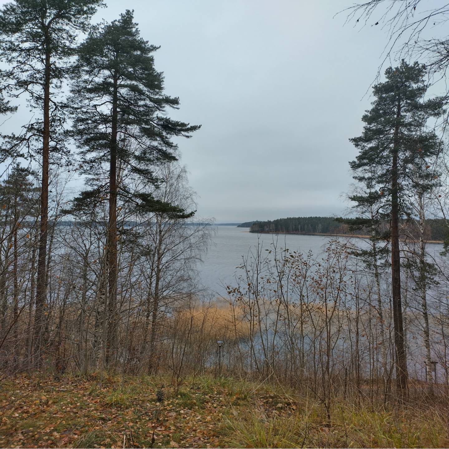 Dark-O 4K Saimaa näkymä